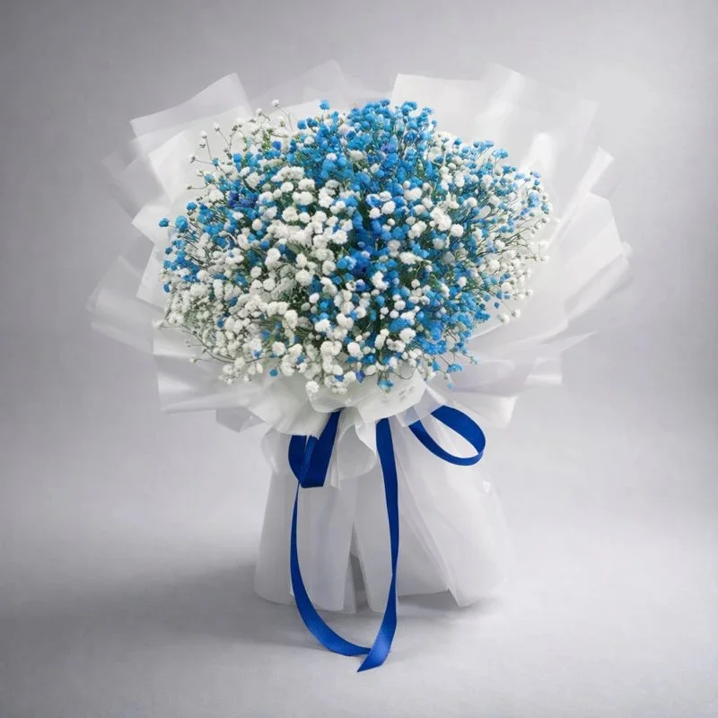 Blue Baby's Breath